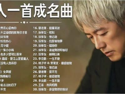 【 价值169 】1737首无损音乐大合集，一人一首成名曲，你想要的这里都有，wav无损格式【70.9GB】