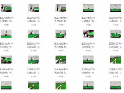 花了998买来的台球教程，正版高清视频教程