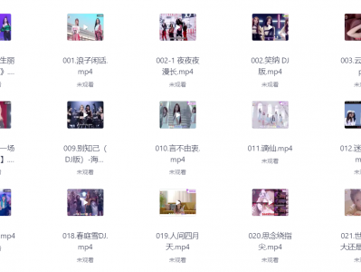 抖音热卖车载音乐+视频合集